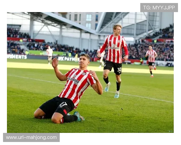 纽卡斯尔vs布伦特福德，主队胜率49.1%