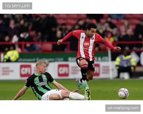 报道：纽卡斯尔联伤兵满营，对阵水晶宫或将摆出务实防守阵型